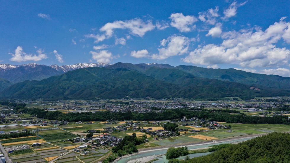 パブリックレコード株式会社